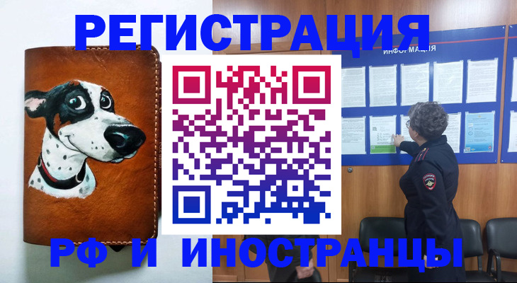 временная регистрация законно в Курчалом